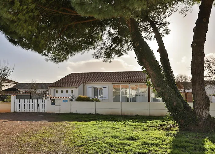 Le Pin Parasol Cote Vendeenne Longeville-sur-Mer