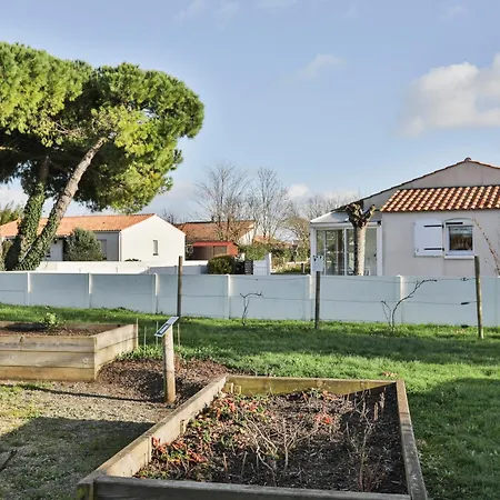 Le Pin Parasol Cote Vendeenne