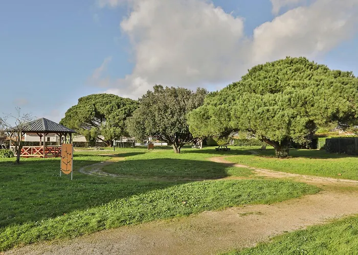 Le Pin Parasol Cote Vendeenne Отель типа 