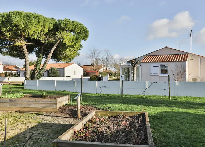 Le Pin Parasol Cote Vendeenne